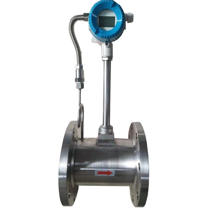 vorte flow meter (1)